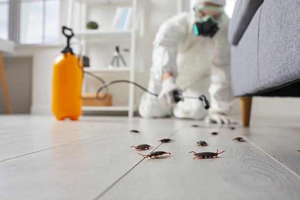 Commercial Kitchen Cockroach Control in Central